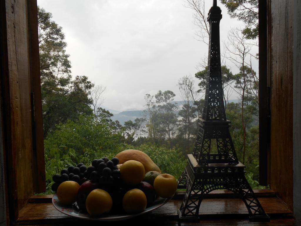 ホテル La Petite France ノーヴァ・ペトローポリス エクステリア 写真