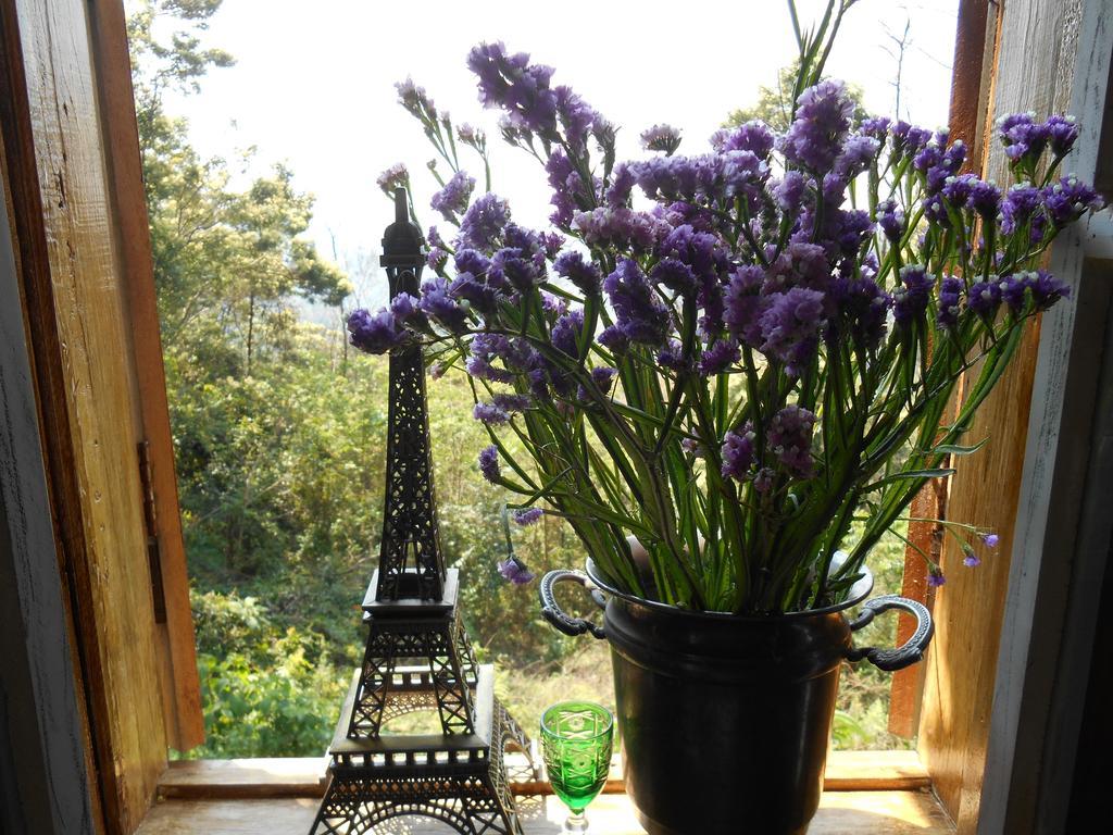 ホテル La Petite France ノーヴァ・ペトローポリス エクステリア 写真