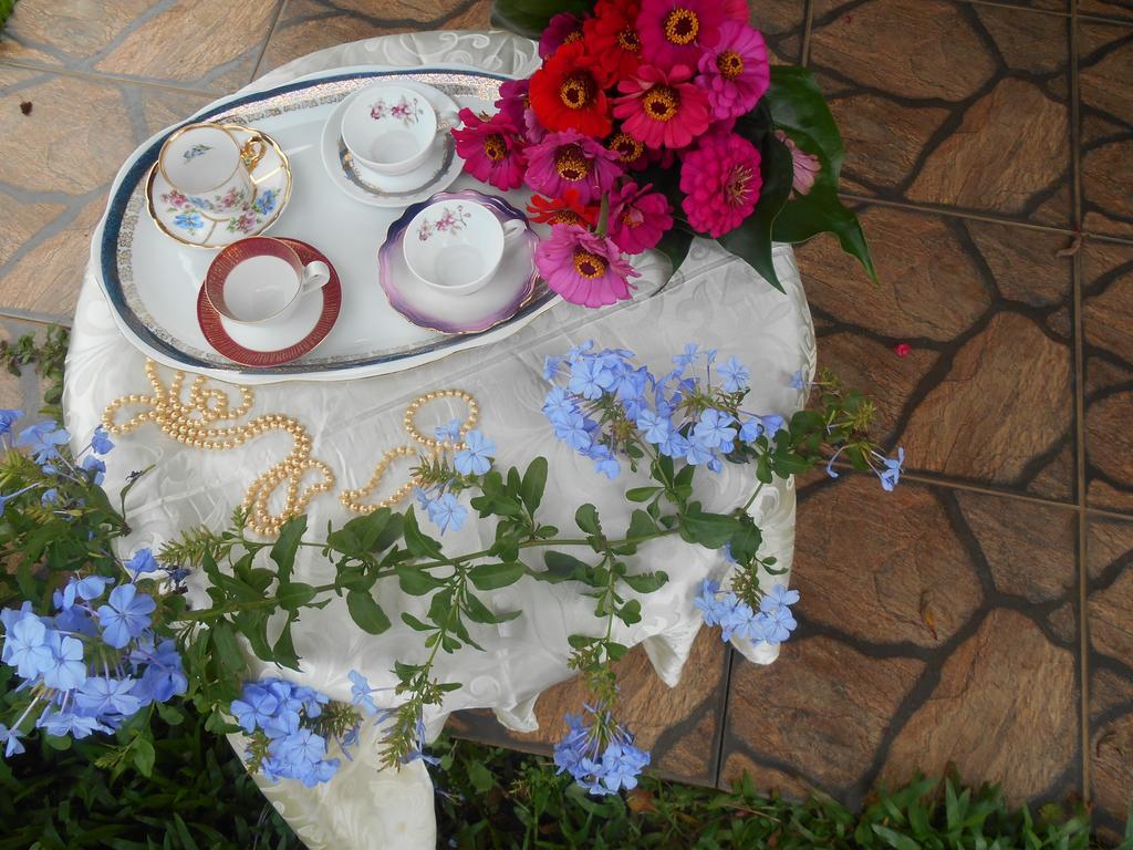 ホテル La Petite France ノーヴァ・ペトローポリス エクステリア 写真